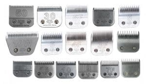 dog clipper blades explained